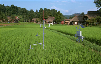 ZXCAWS700 農(nóng)田梯度監(jiān)測站