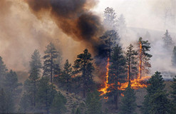 氣象站對(duì)于森林火災(zāi)的重要性