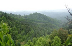 森林生態(tài)站的信息化建設(shè)