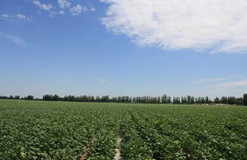 內(nèi)蒙古氣象災(zāi)害發(fā)生規(guī)律分析