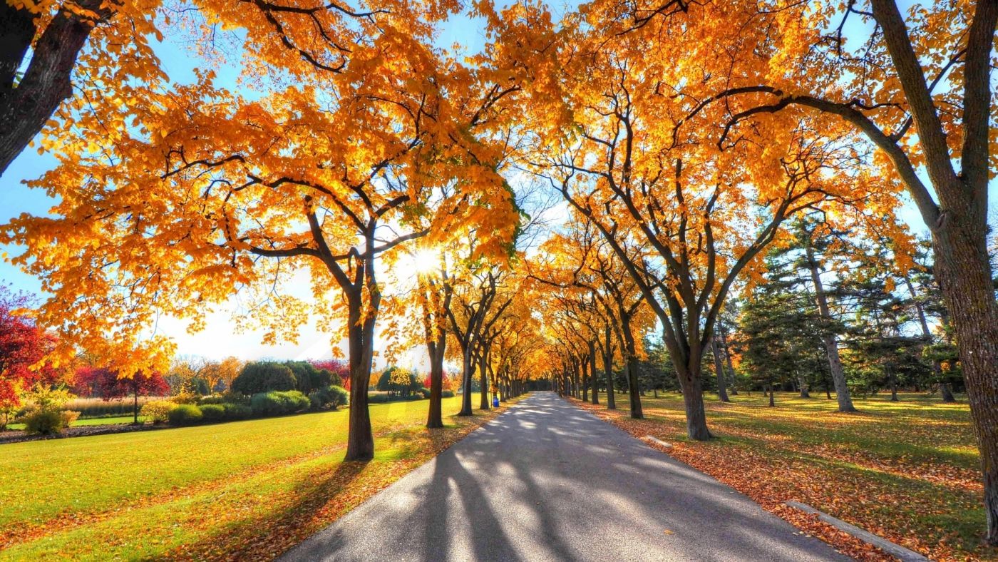 且過且珍惜！大數(shù)據(jù)告訴你這些地方秋天越來越短了