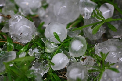 什么是人工防雹?