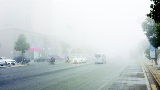 秋冬季大霧多發(fā) 這份防御指南請(qǐng)收好