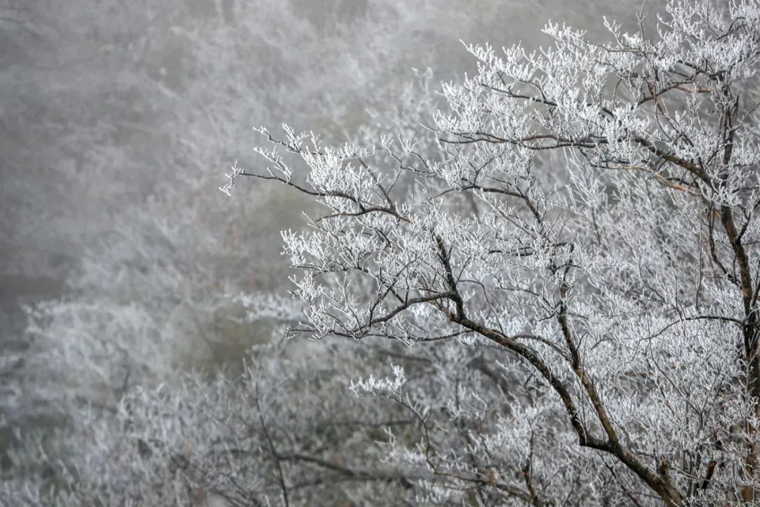 今年來最大范圍雨雪將影響超25省份 速戳進(jìn)程表看你家何時雪花飄