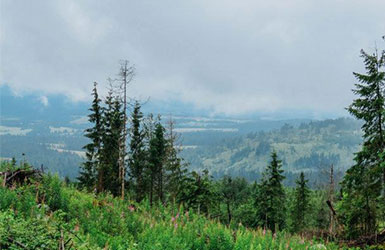 自動氣象站在各領域的實際應用