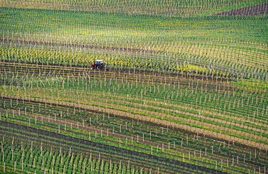 影響農(nóng)業(yè)生產(chǎn)的主要氣象災害有哪些？