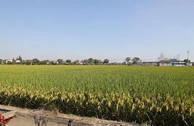 智能農(nóng)業(yè)自動氣象站——農(nóng)業(yè)生產(chǎn)的新引擎