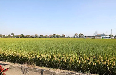 無(wú)線農(nóng)業(yè)氣象綜合監(jiān)測(cè)站：現(xiàn)代化農(nóng)業(yè)的氣象守護(hù)者