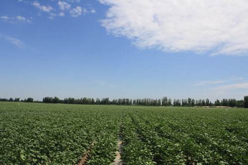 農(nóng)業(yè)氣象 農(nóng)業(yè)氣象