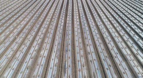 5d53aec6d5a55.jpg 11111.jpg