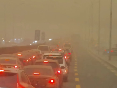 604f184112349.jpeg D0FB0D54-B8A9-4EC9-B695-5D48CA634890.jpeg