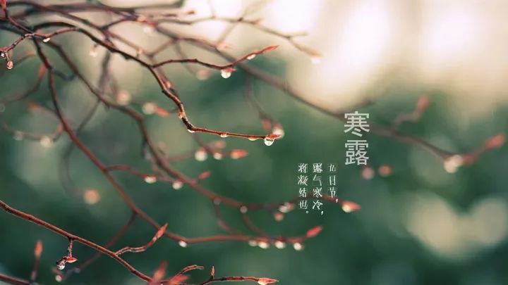 615fa086afe00.jpg 寒露2.jpg